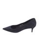 Marion Parke Suede Pumps