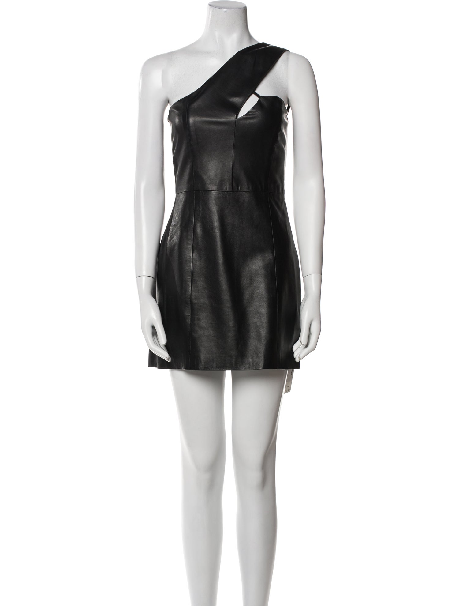 Mason Leather Mini Dress