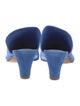 Matisse Suede Mules