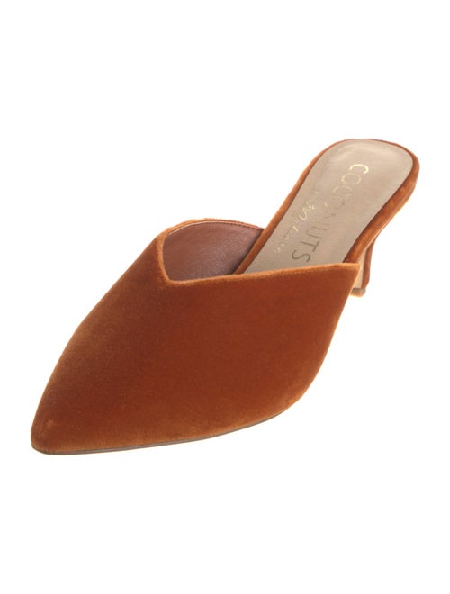 Matisse Velvet Mules