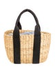 Muun Raffia Top Handle Bag