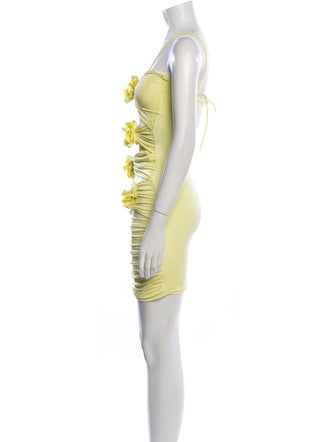 Maygel Coronel V-Neck Mini Dress