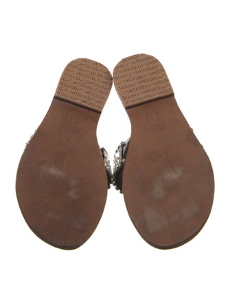 Mystique Crystal Printed Slides