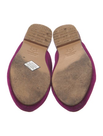 Mystique Velvet Mules
