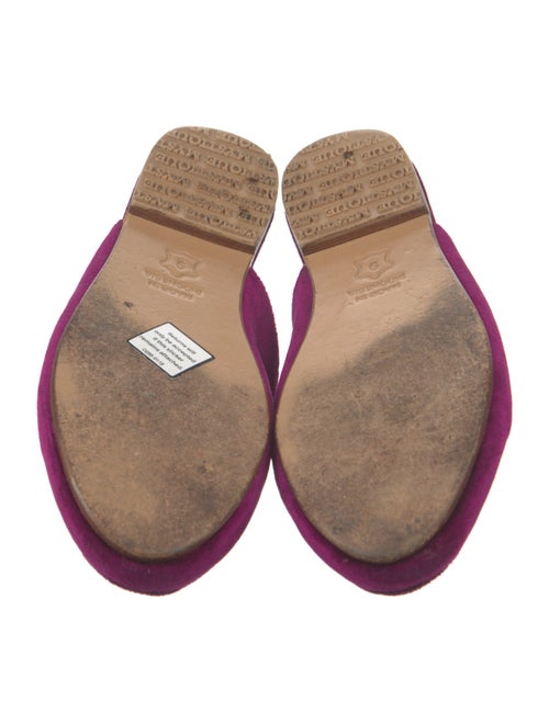 Mystique Velvet Mules