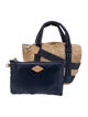 MZ Wallace Straw Top Handle Bag