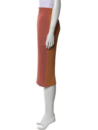 Partow Pleated Accents Knee-Length Skirt