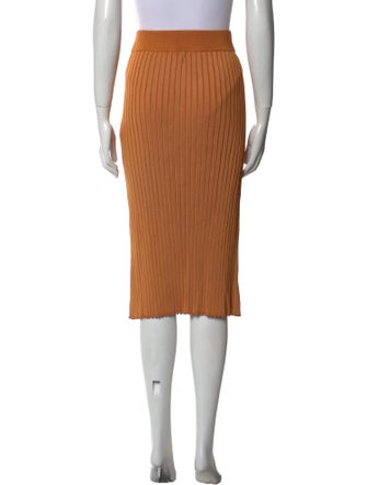 Partow Pleated Accents Knee-Length Skirt