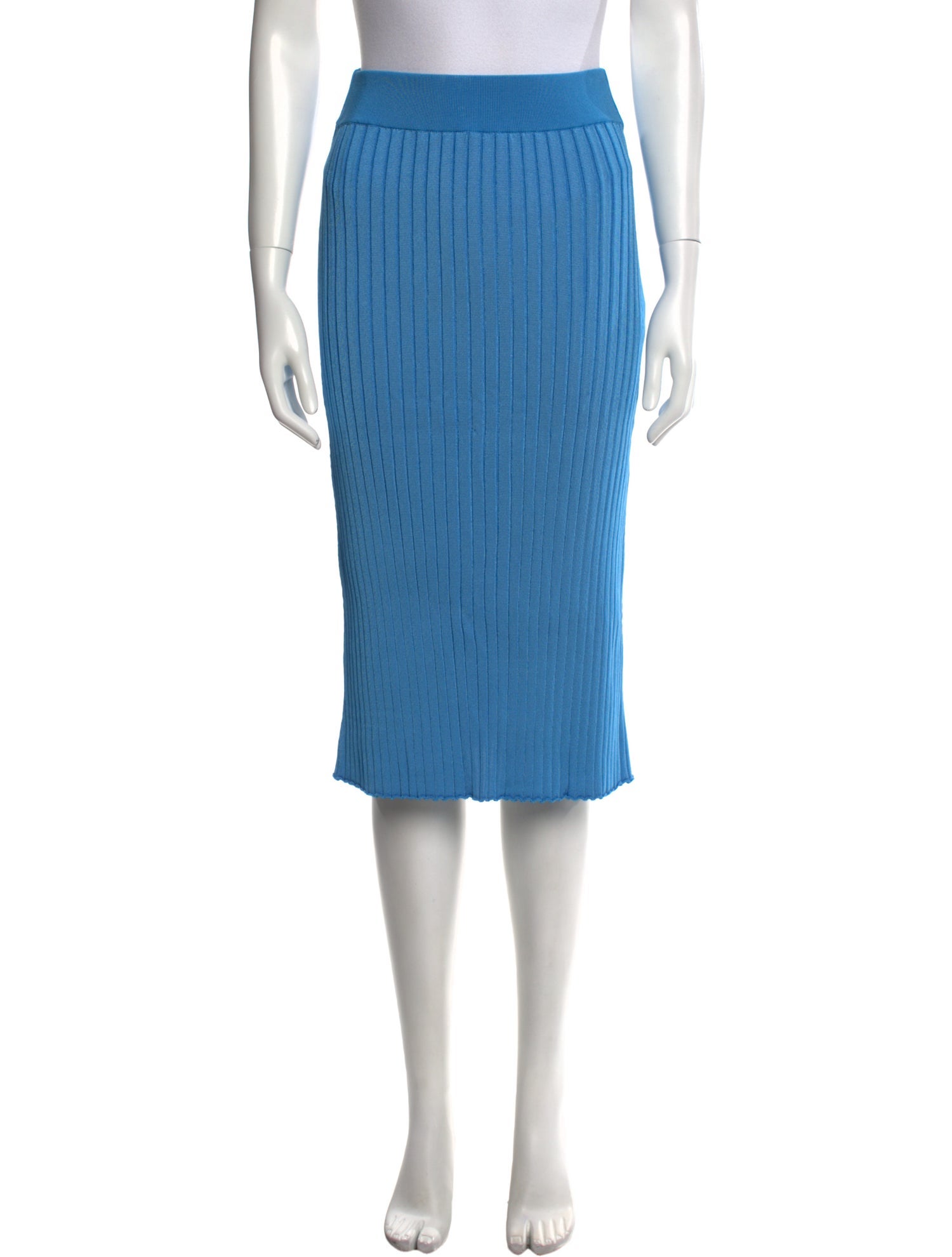 Partow Pleated Accents Knee-Length Skirt