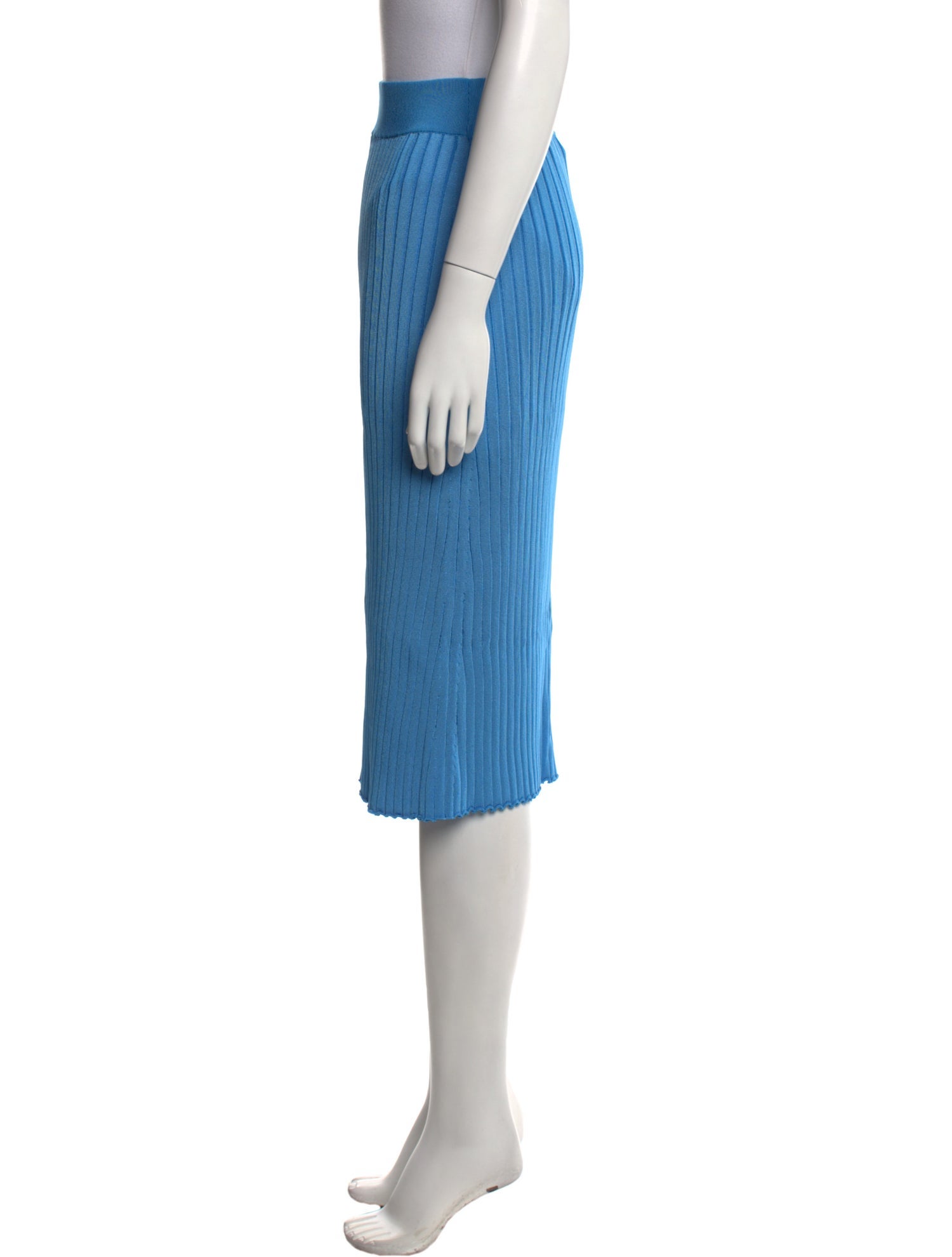 Partow Pleated Accents Knee-Length Skirt