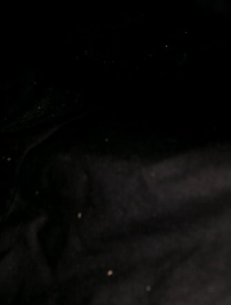 Nili Lotan Canvas Tote