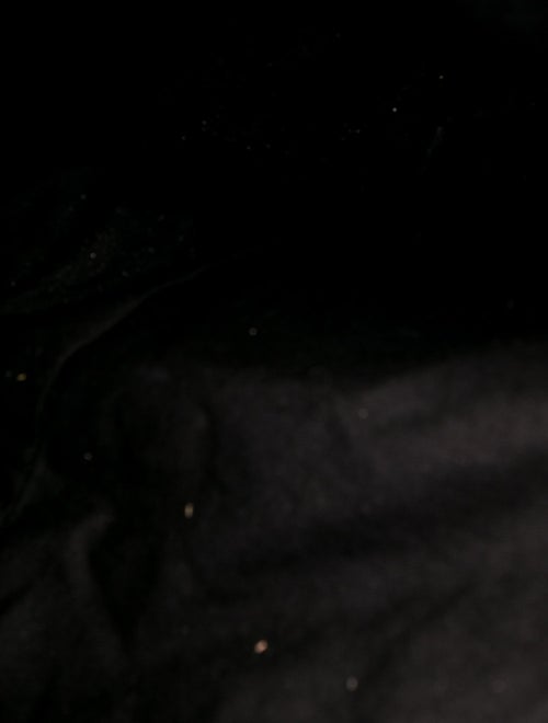 Nili Lotan Canvas Tote