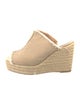Castañer Canvas Raw-Edge Trim Espadrilles