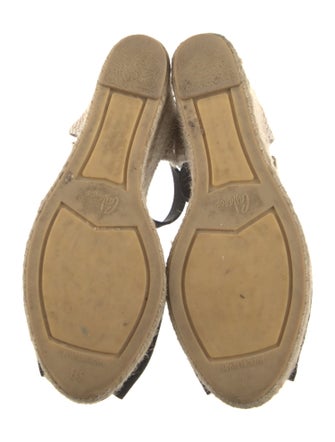Castañer Canvas Espadrilles