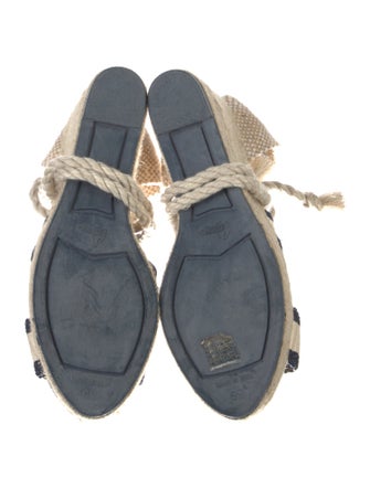 Castañer Canvas Striped Espadrilles