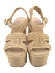 Castañer Straw Espadrilles