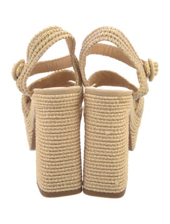 Castañer Straw Espadrilles