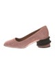 Castañer Suede Pumps