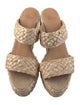 Castañer Raffia Espadrilles