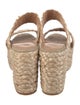 Castañer Raffia Espadrilles