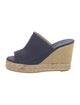 Castañer Canvas Espadrilles
