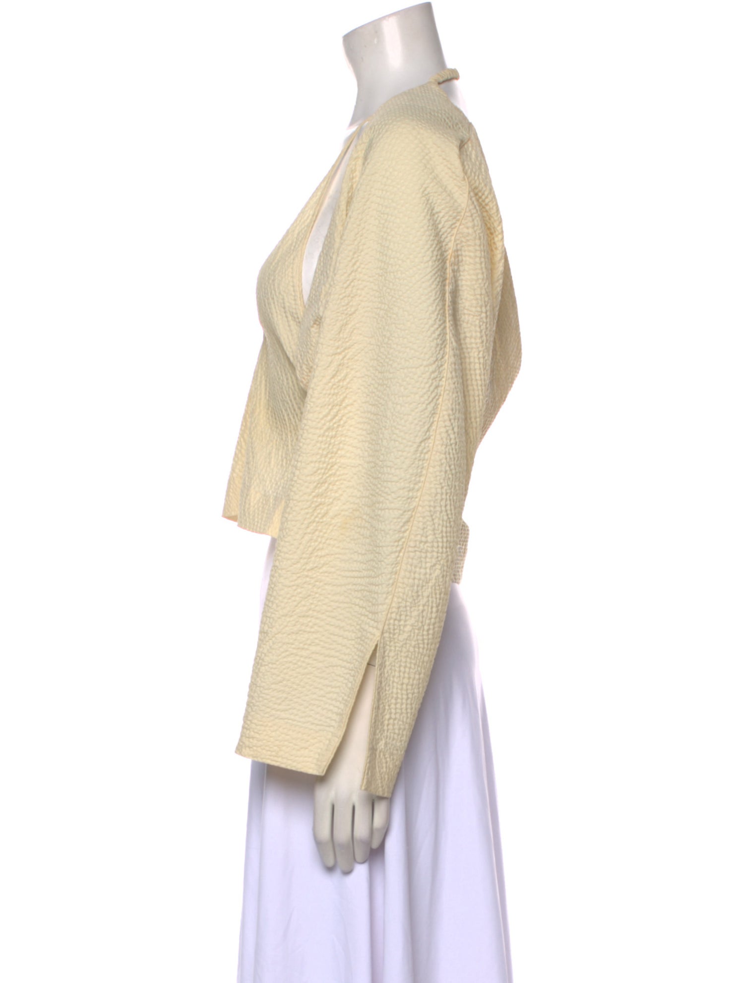 Nanushka V-Neck Long Sleeve Crop Top