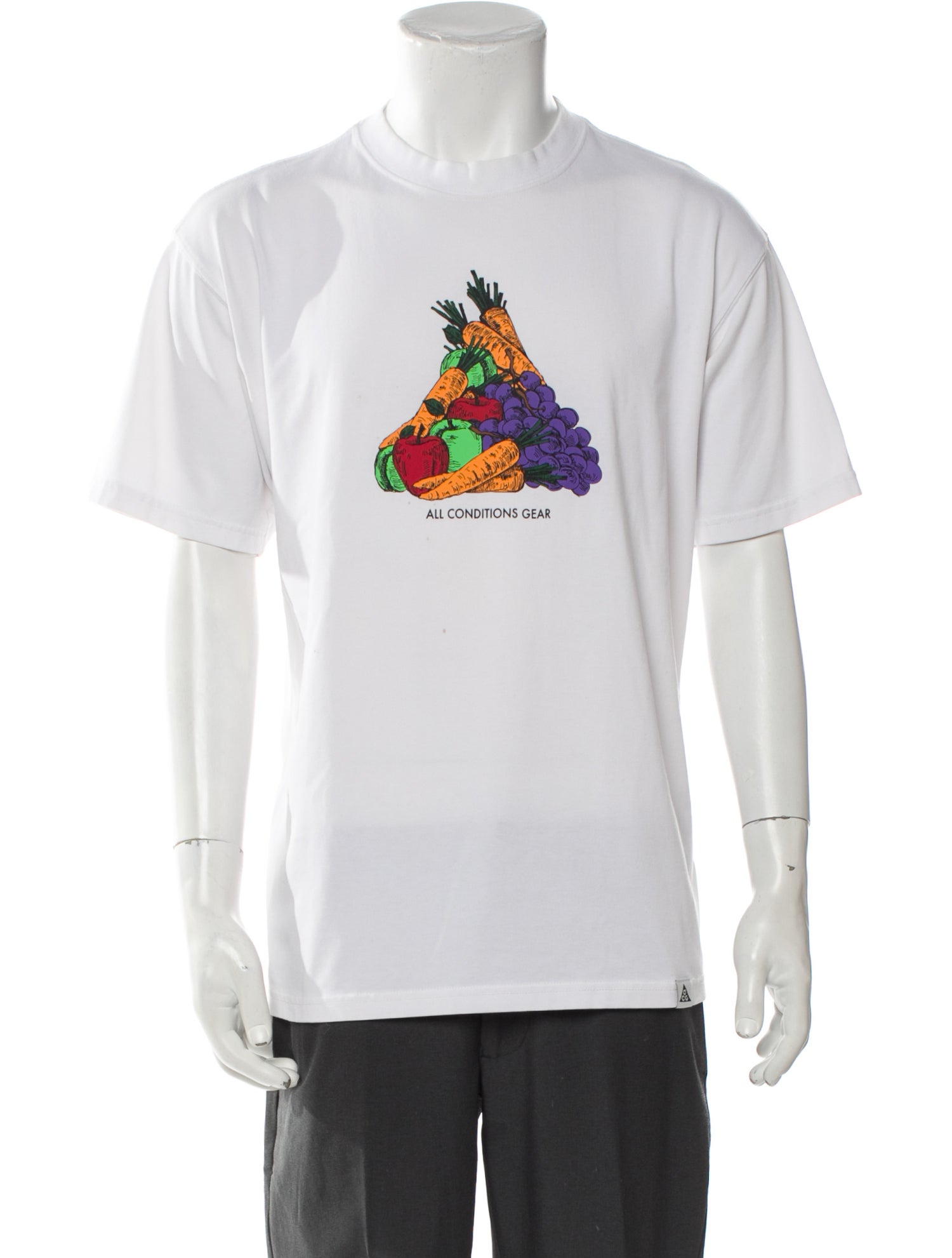 Nike ACG Graphic Print Crew Neck T-Shirt