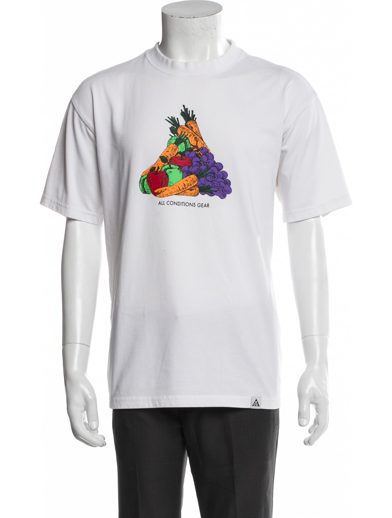 Nike ACG Graphic Print Crew Neck T-Shirt