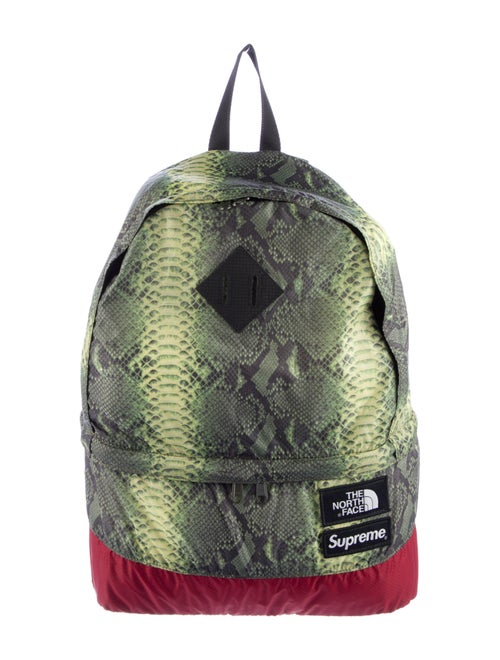 The North Face x Supreme Snakeskin Print Lightweight Day Pack