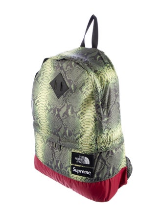 The North Face x Supreme Snakeskin Print Lightweight Day Pack