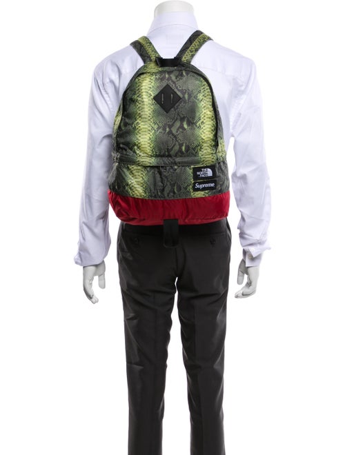 The North Face x Supreme Snakeskin Print Lightweight Day Pack