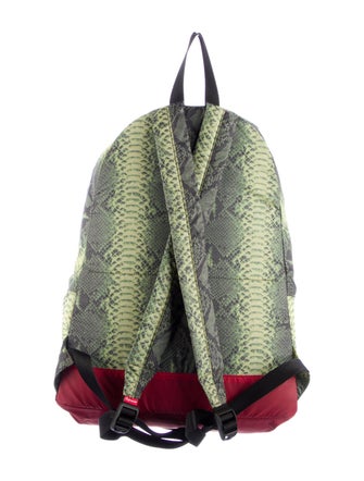 The North Face x Supreme Snakeskin Print Lightweight Day Pack