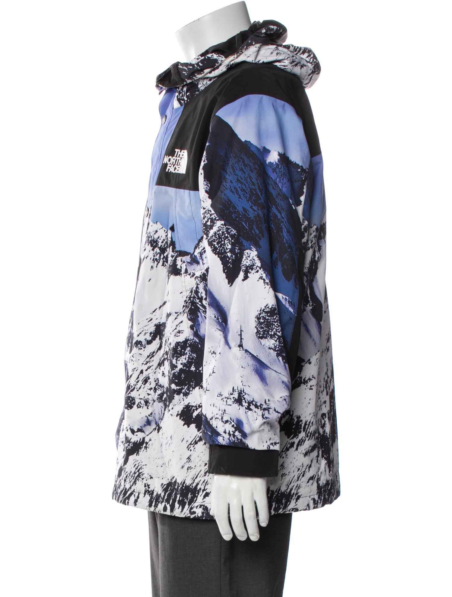 The North Face x Supreme 2017 Mountain Parka Parka