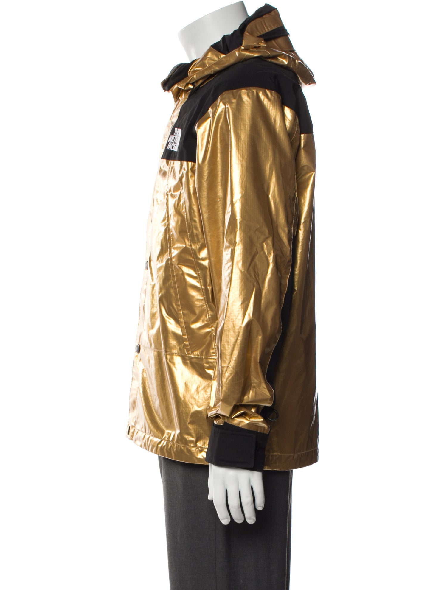 The North Face x Supreme 2018 Metallic Mountain Parka Parka