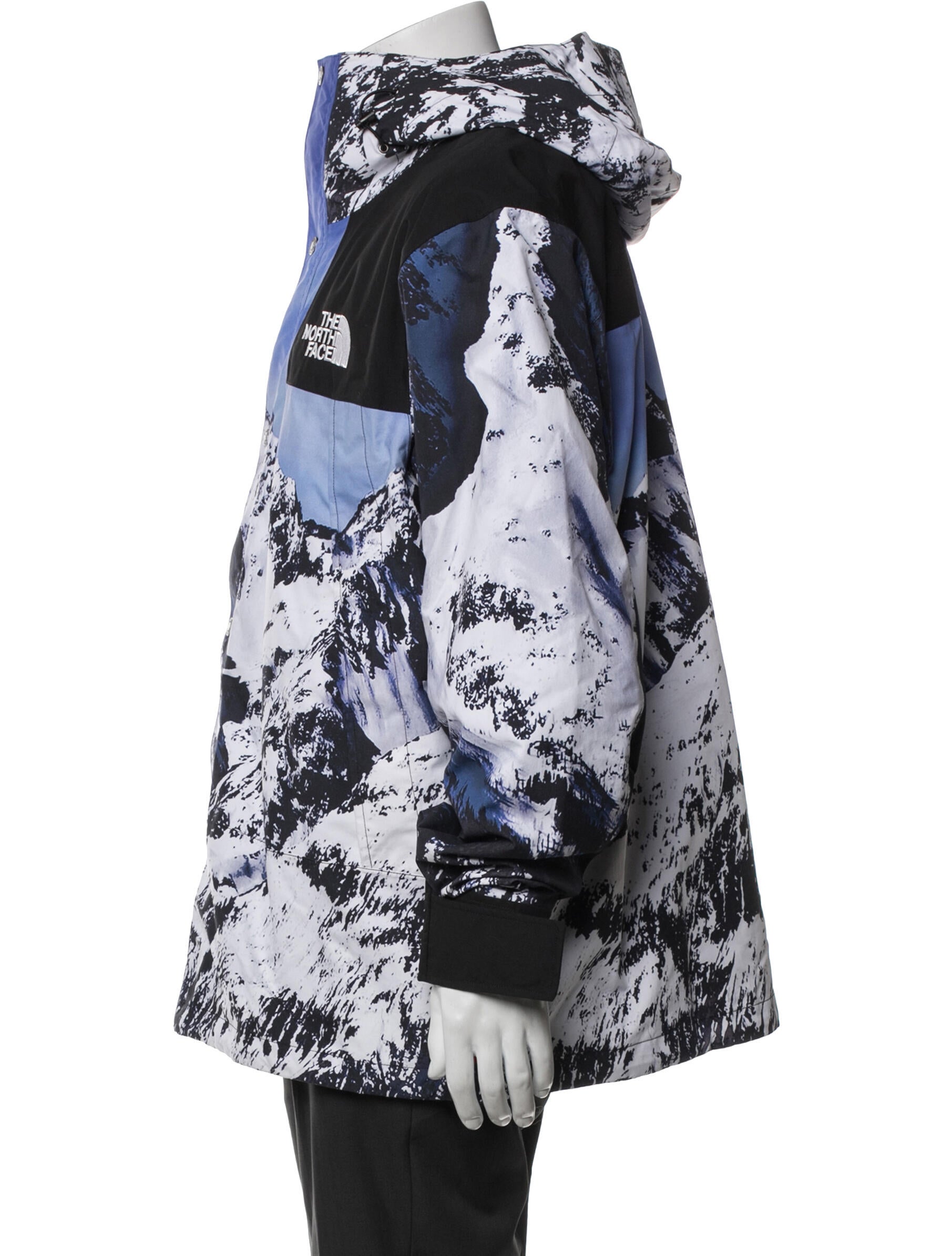 The North Face x Supreme 2020 S Logo Summit Series Himalayan Parka
