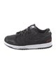 Nike SB Dunk Low Wasted Youth Sneakers