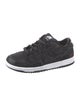 Nike SB Dunk Low Wasted Youth Sneakers