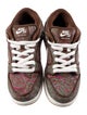 Nike SB Leather Printed Athletic Sneakers