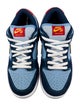 Nike SB Suede Colorblock Pattern Sneakers