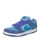 Nike SB Suede Colorblock Pattern Sneakers