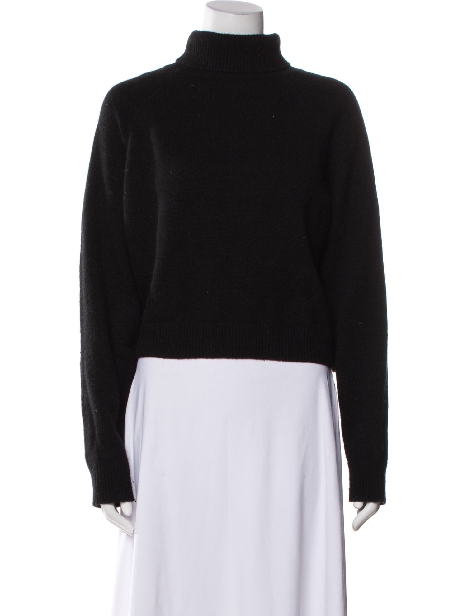Naked Cashmere Cashmere Turtleneck Sweater