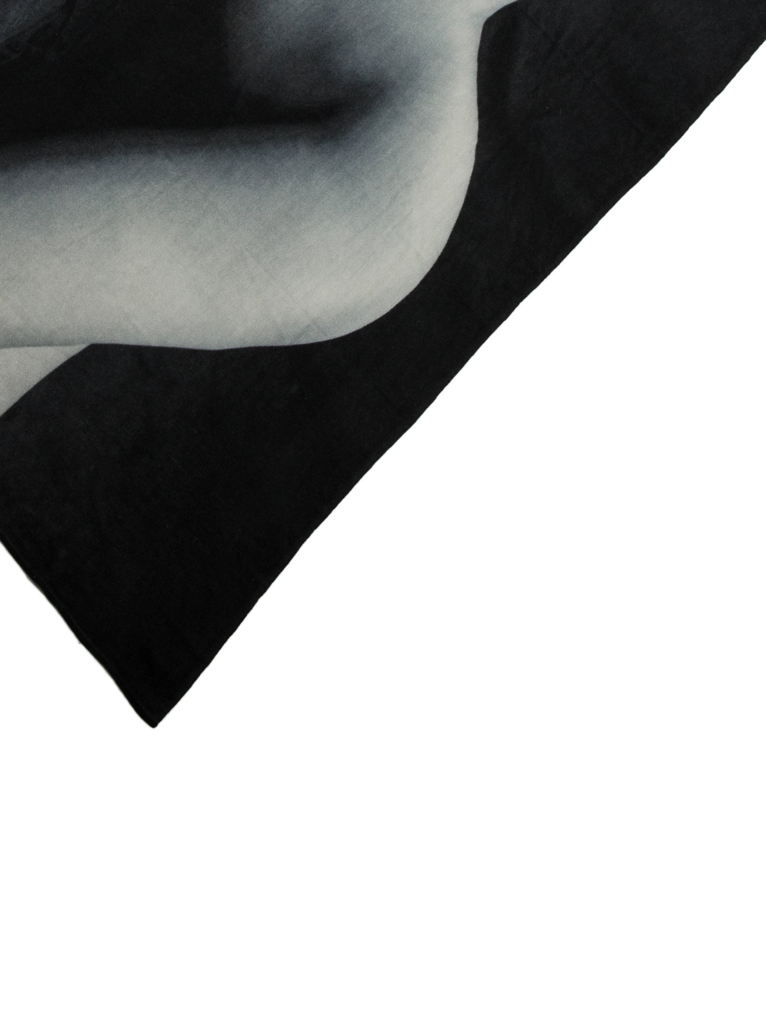 Naked Cashmere Cashmere Printed Scarf