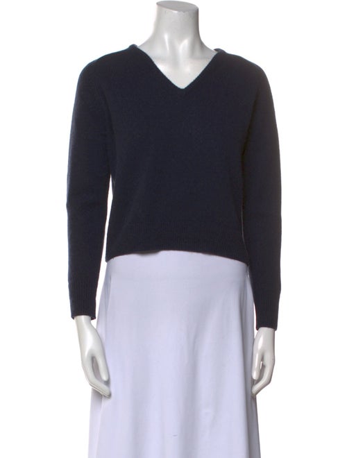 Naked Cashmere Cashmere V-Neck Sweater