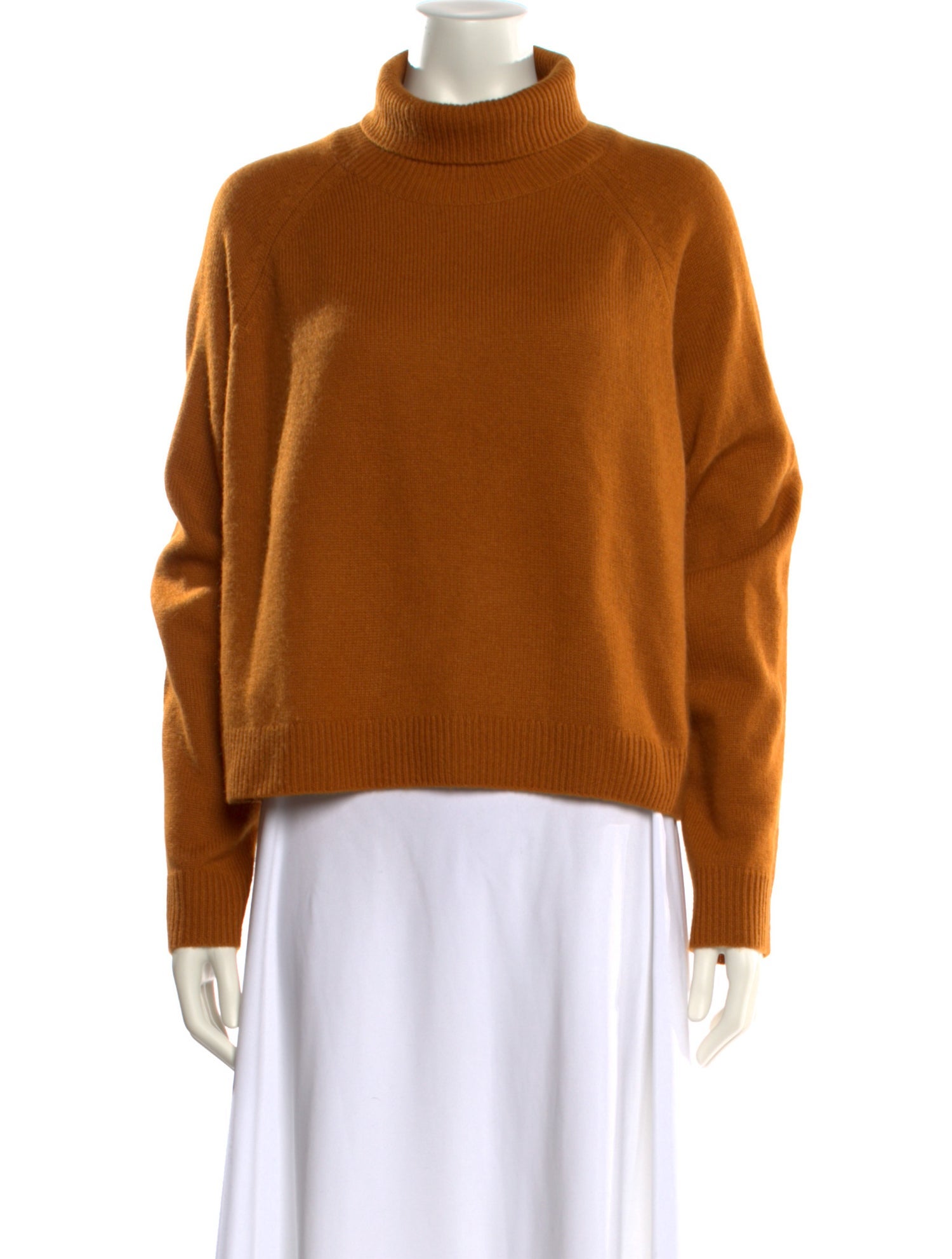 Naked Cashmere Cashmere Turtleneck Sweater