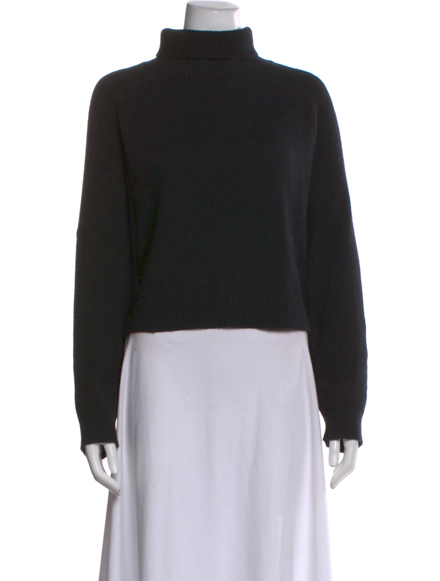 Naked Cashmere Cashmere Turtleneck Sweater