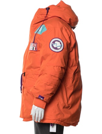 The North Face TAE Trans-Antarctica Expedition 700-Down Graphic Print Parka