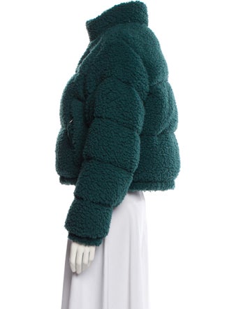 The North Face Down Coat