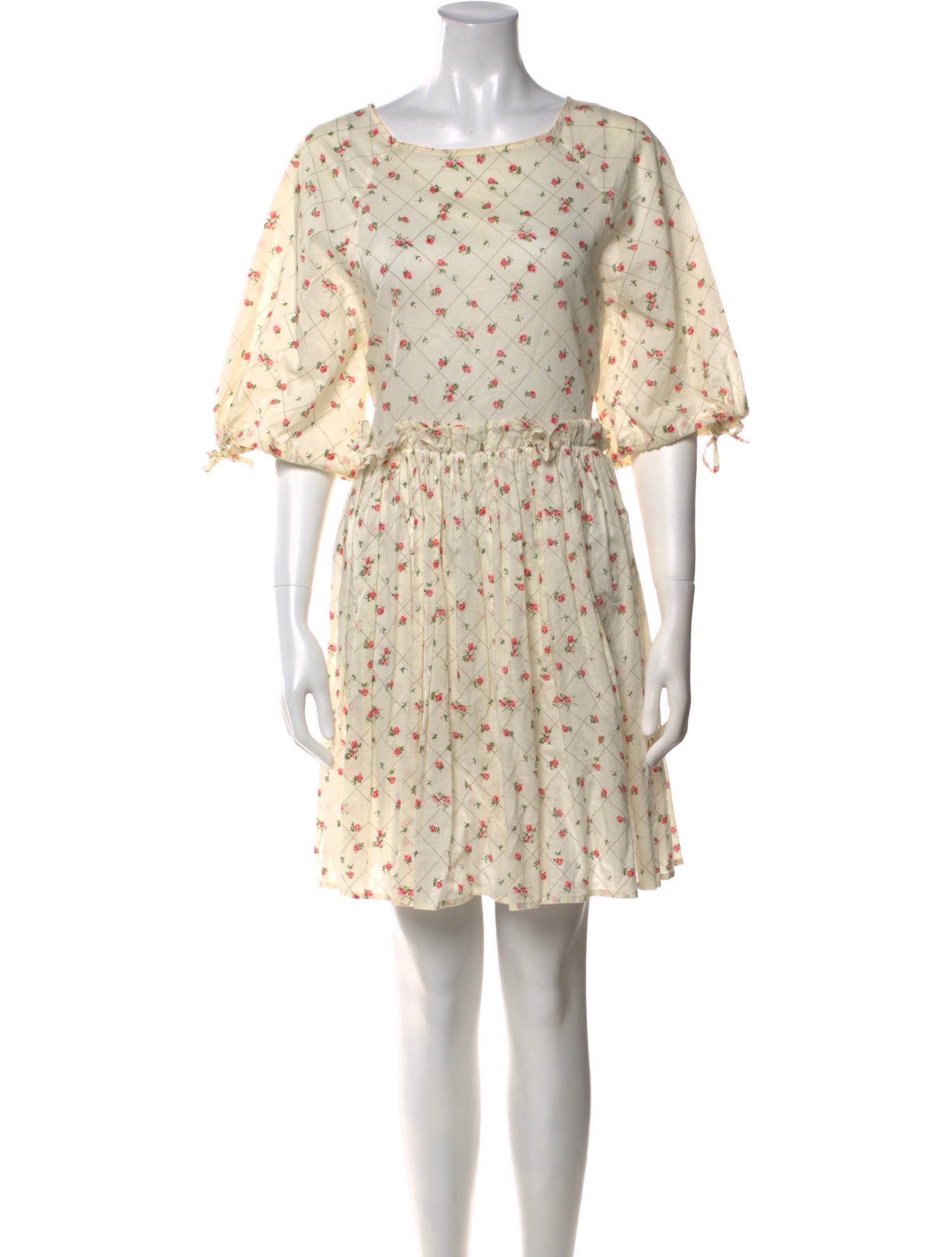 Naya Rea Floral Print Mini Dress