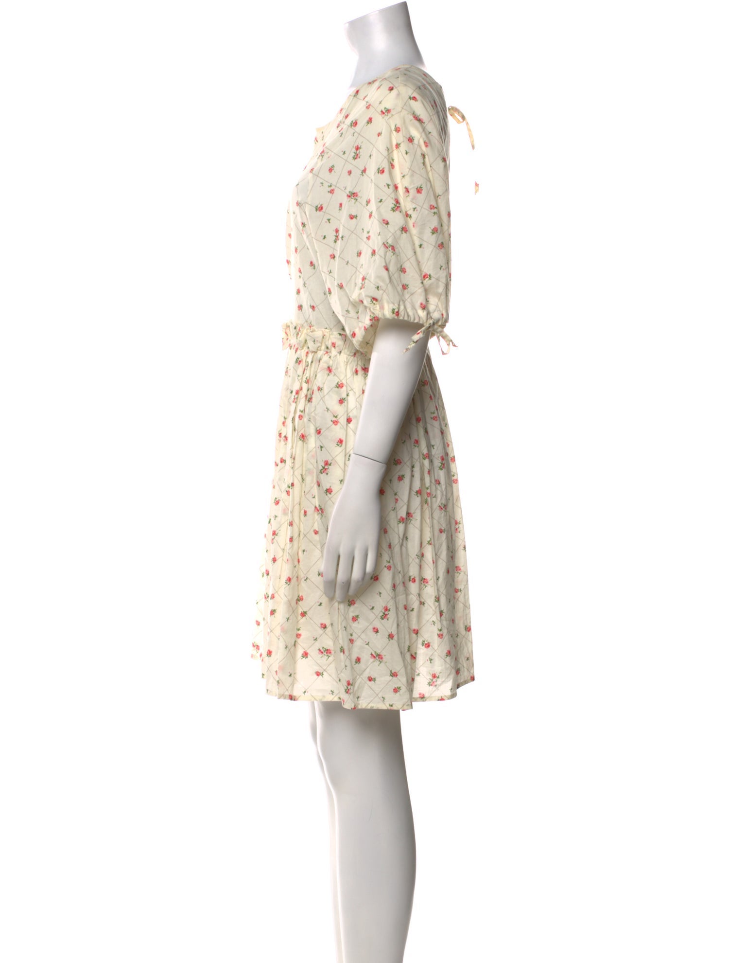 Naya Rea Floral Print Mini Dress