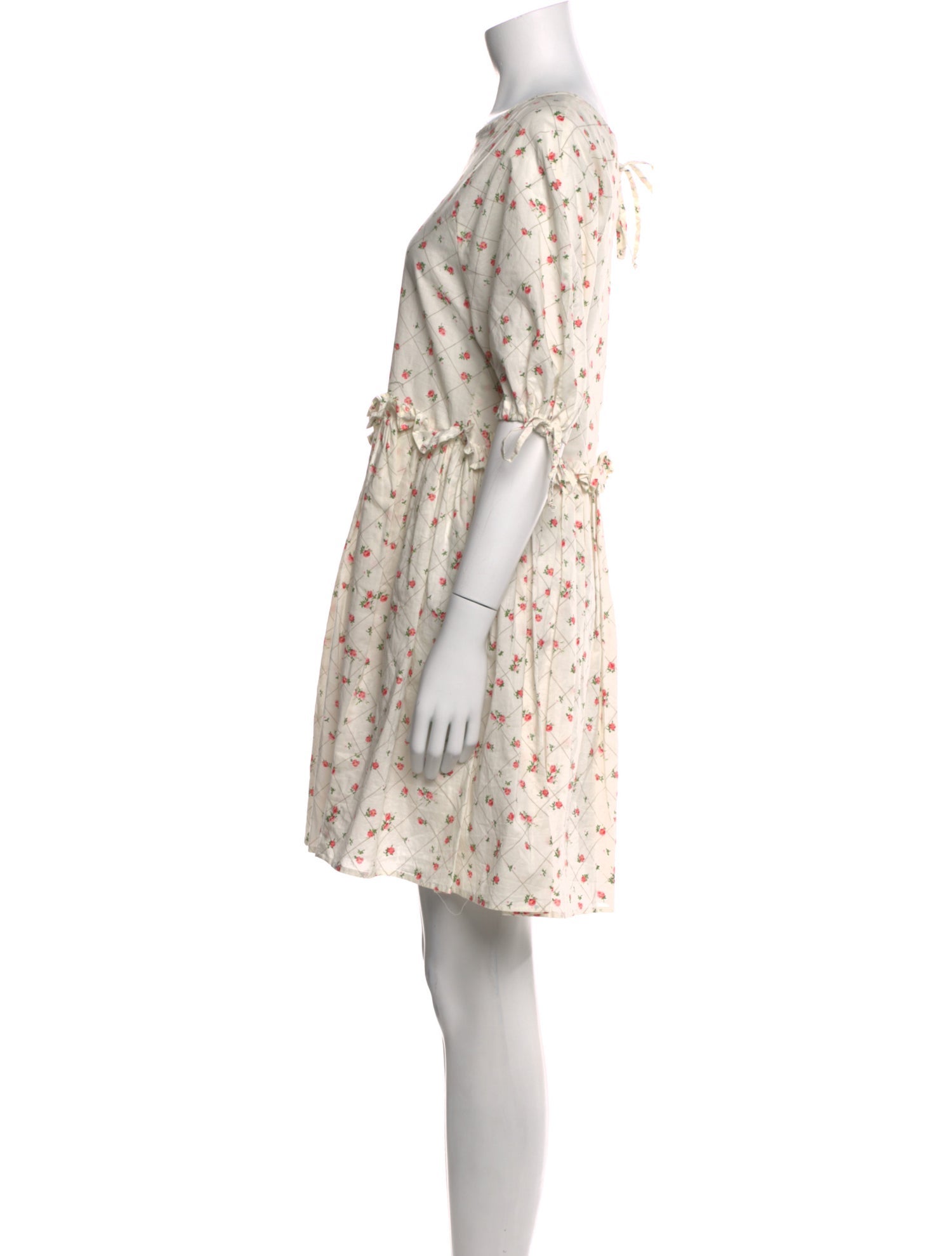 Naya Rea Floral Print Mini Dress